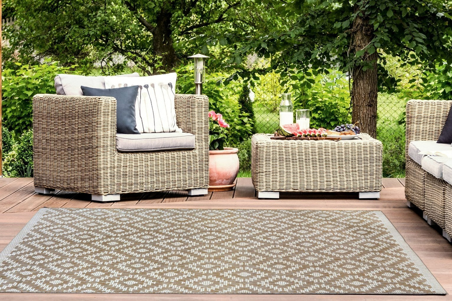 Genesis Natural Indoor Outdoor Rug - 160X230
